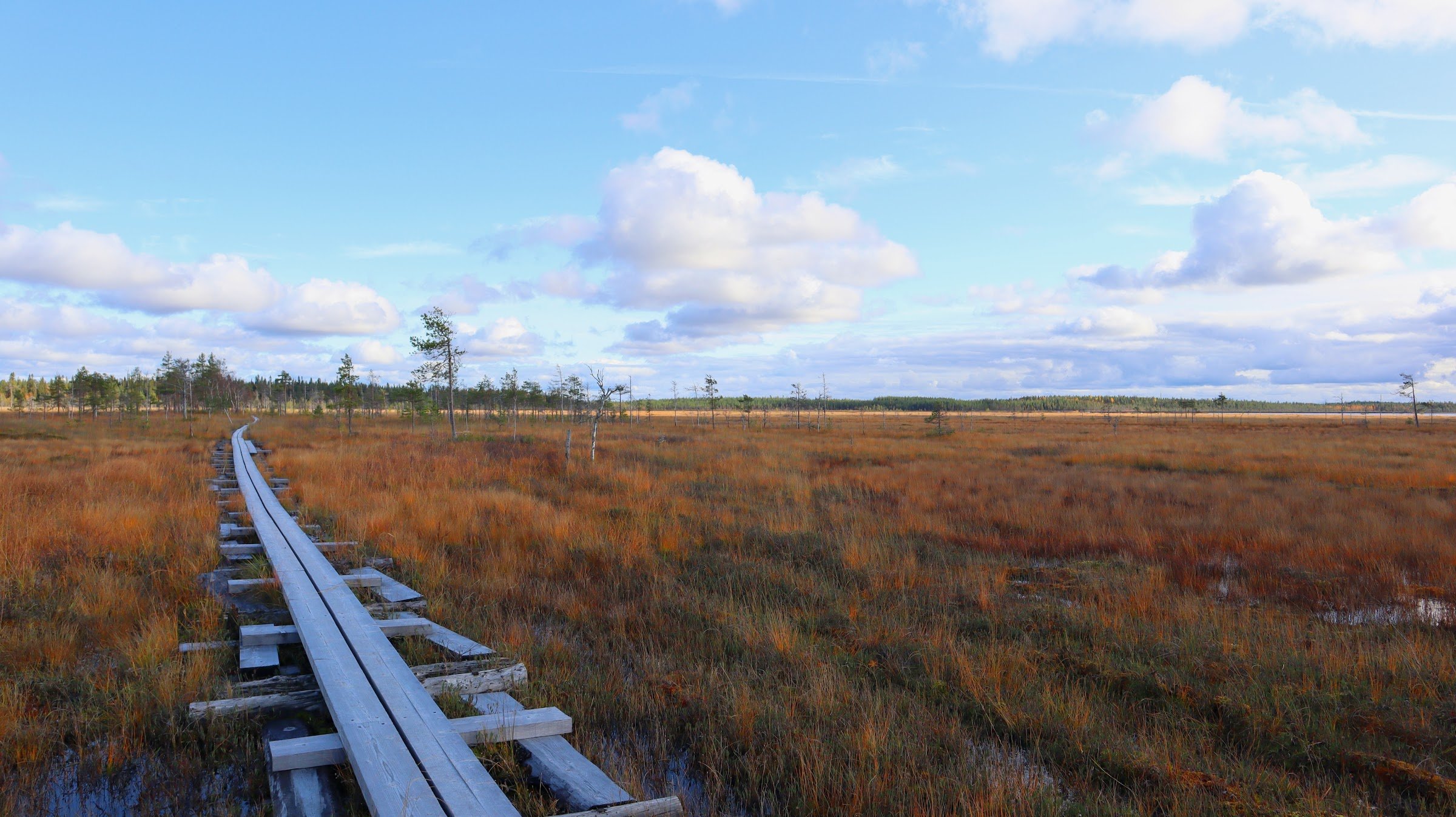 Martimoaapa kivalontie